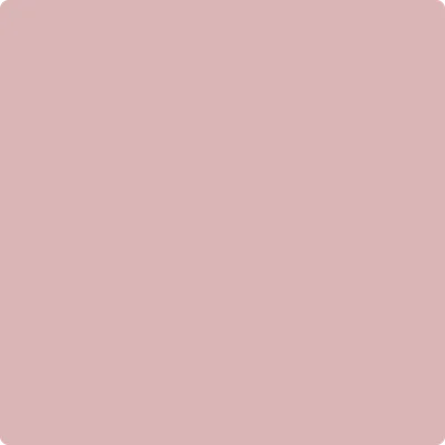 1255: Pink Panther  by Benjamin Moore