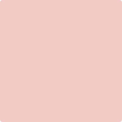 1290: Fantasy Pink  by Benjamin Moore