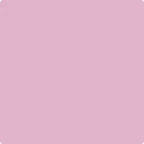 1361: Countryside Pink  by Benjamin Moore