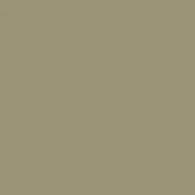 1511: Bed of Ferns by Benjamin Moore