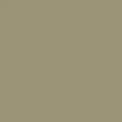 1511: Bed of Ferns by Benjamin Moore