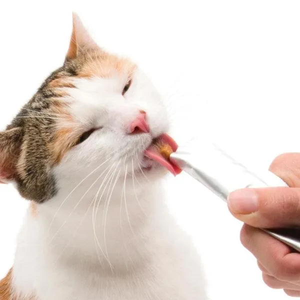 CATIT Creamy Treats Salmon & Prawn
