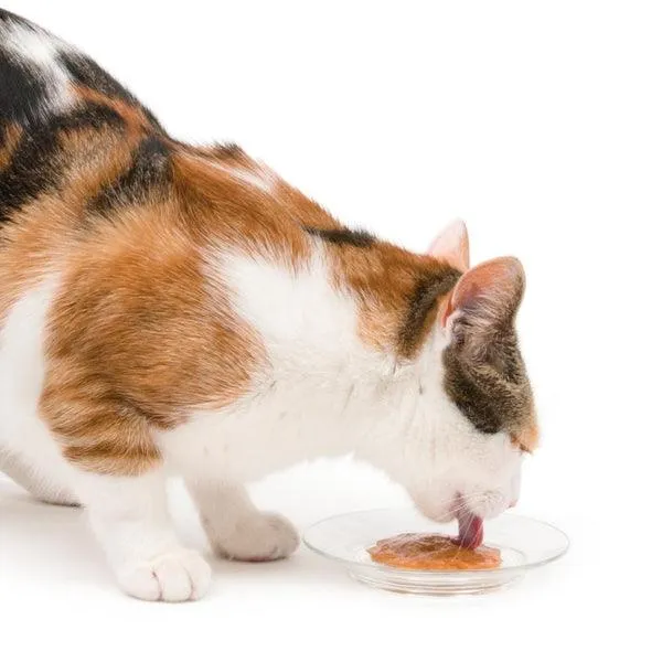 CATIT Creamy Treats Salmon & Prawn