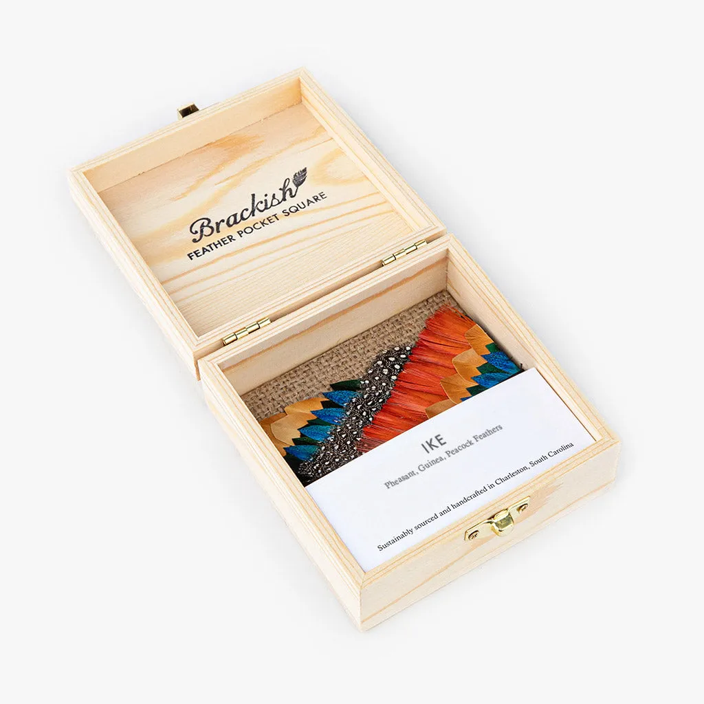 Ike Pocket Square